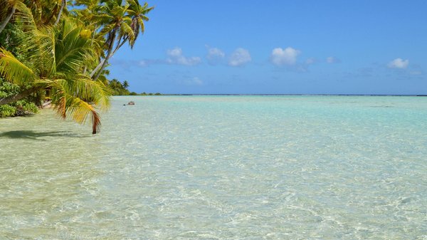 Croisières : Démystification et Vérités Incontournables à Connaître