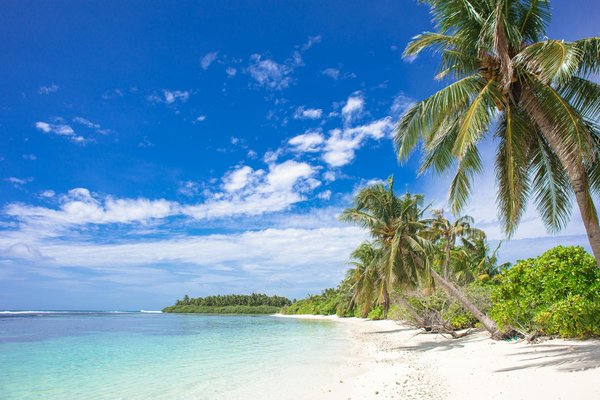 Découvrez tout sur la location de matériel sportif pour vos vacances : Guide indispensable !